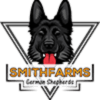 SmithFarms German Shepherds