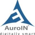 AuroIN LLC