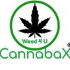 cannabaxmedicalmarijuana