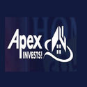 Apex Investments Llc
