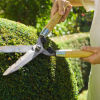 Professional-Landscaping-Co