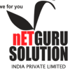 Netguru Solution India Pvt. Ltd.