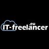 IT Freelancer