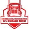 VL17 InsuranceAgency