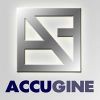 Accugine Window Blinds