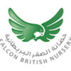 Falcon British Nursery