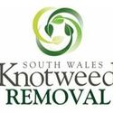Knotweed Removal