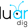 Bluant Digital