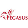 Pegasus For Kids