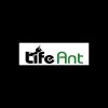 Life ant