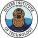Divers Institute