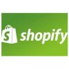 Shopify Ecommerce Solutions