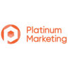 Platinum Websitedesign