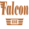 Falcon USA