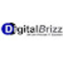 Digital Brizz IT Company