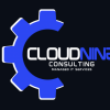 Cloud Nine Consulting 