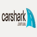 Car Shark Shark