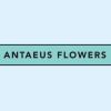 Antaeus Flowers